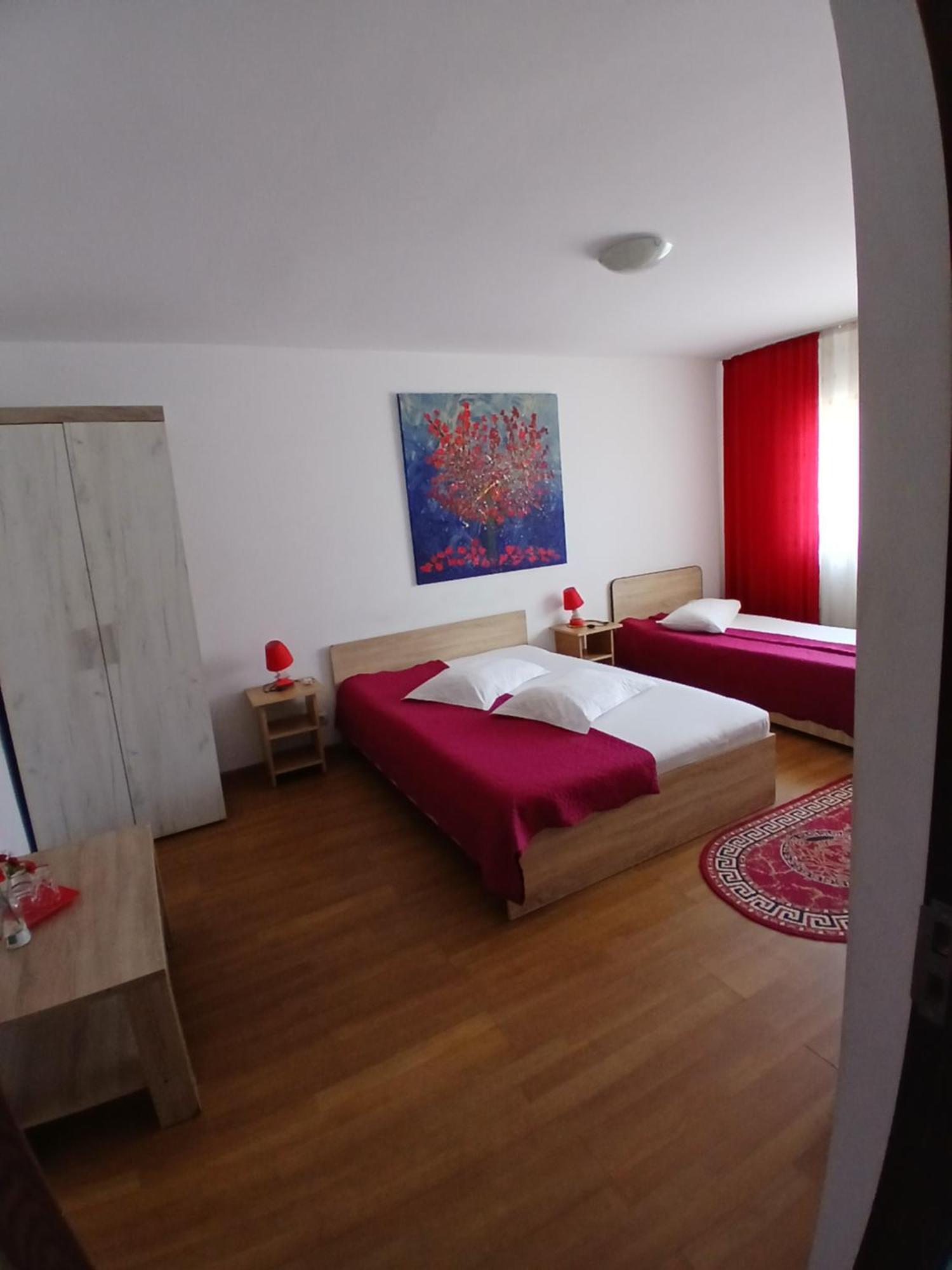 Casa Rustica Apart & Rooms Cîmpineanca Exteriér fotografie