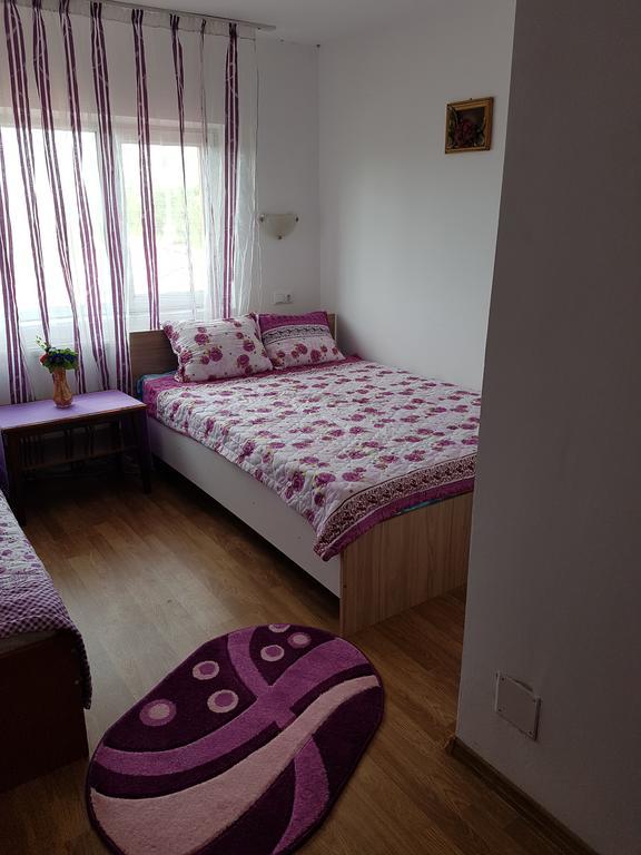 Casa Rustica Apart & Rooms Cîmpineanca Exteriér fotografie