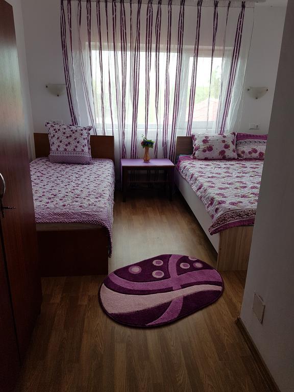 Casa Rustica Apart & Rooms Cîmpineanca Exteriér fotografie