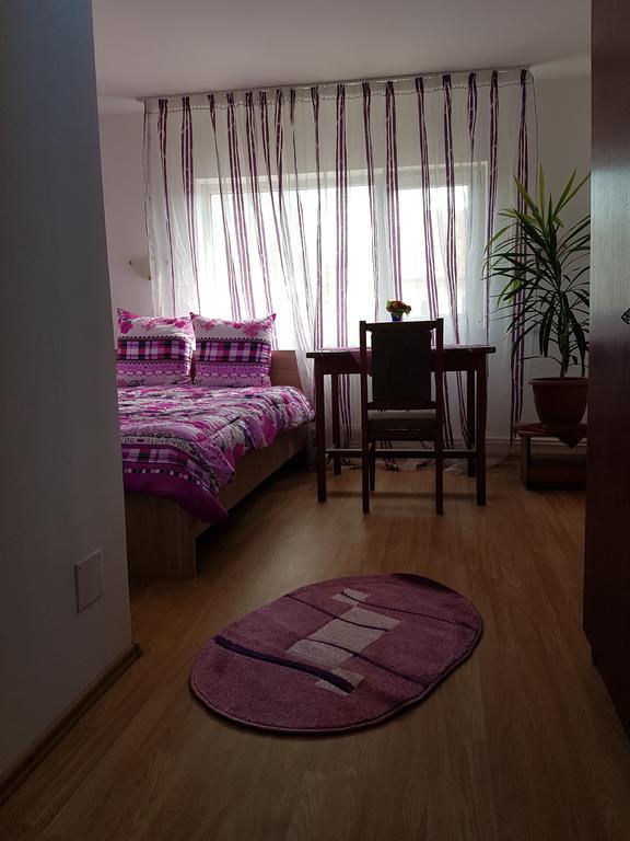 Casa Rustica Apart & Rooms Cîmpineanca Exteriér fotografie
