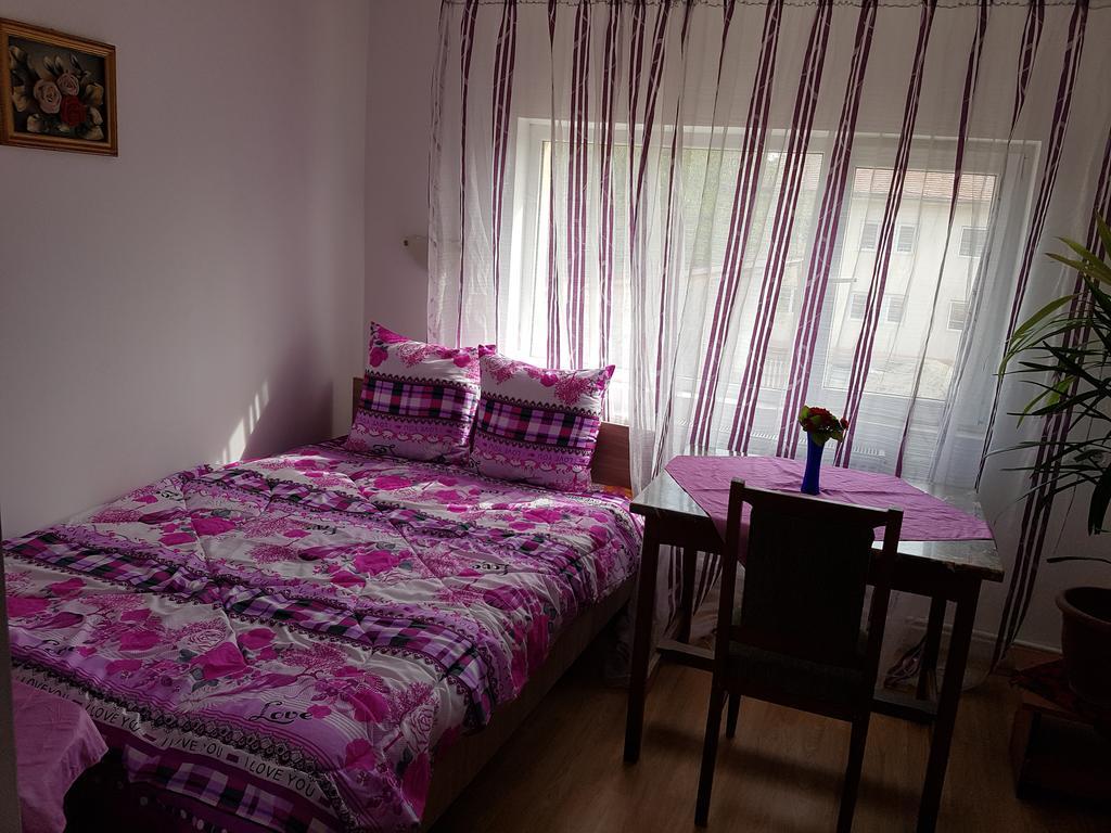 Casa Rustica Apart & Rooms Cîmpineanca Exteriér fotografie
