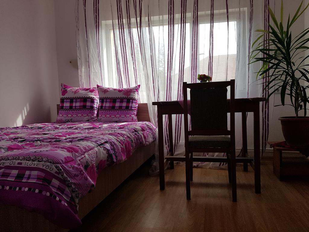 Casa Rustica Apart & Rooms Cîmpineanca Exteriér fotografie